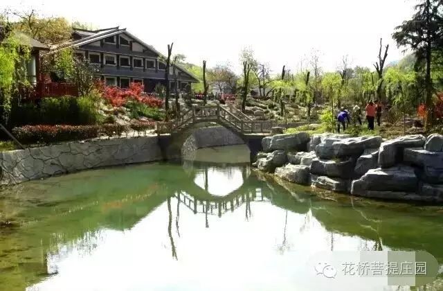 這個(gè)周末，隴南康縣花橋有大事要發(fā)生？