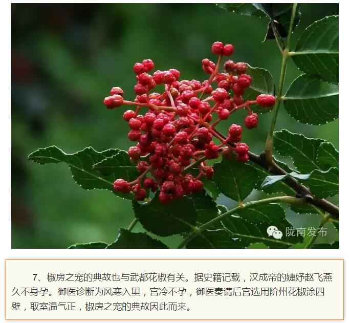 蘭渝鐵路最早由孫中山先生提出？在隴南，你不知道的事兒還有……