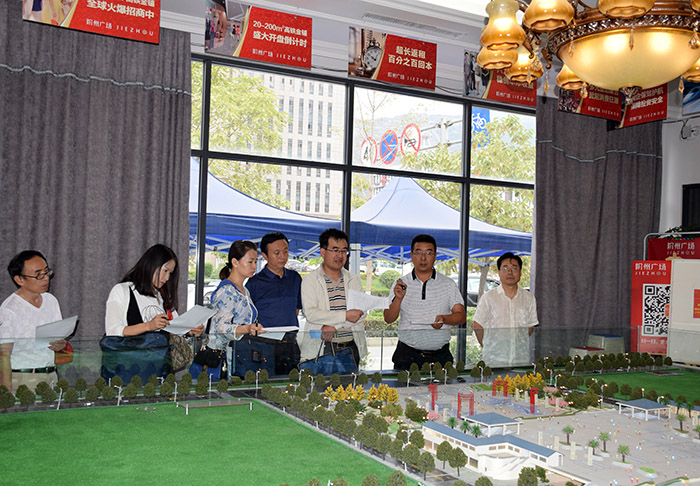 省、市聯(lián)合工作組蒞臨階州廣場檢查指導(dǎo)工作