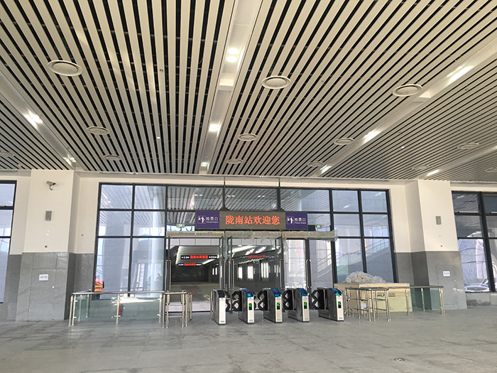 全國、省市政協(xié)委員體驗蘭渝鐵路、視察階州廣場