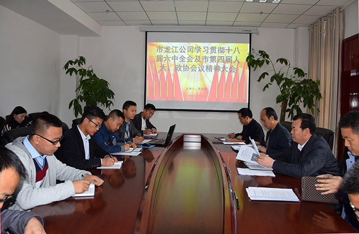 市龍江公司召開全體員工大會(huì)，專題傳達(dá)學(xué)習(xí)上級(jí)會(huì)議精神