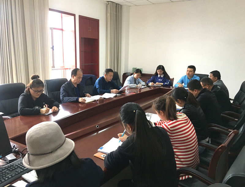 市龍江城鄉(xiāng)發(fā)展集團專題學習近期中央、省、市紀律檢查委員會議精神