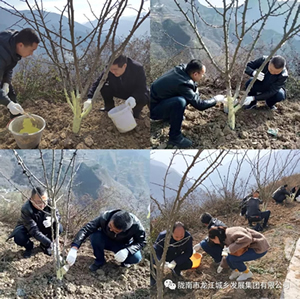 市龍江集團(tuán)在文縣橋頭鎮(zhèn)安子坡村開展“解難題、辦實(shí)事、送溫暖”活動(dòng)