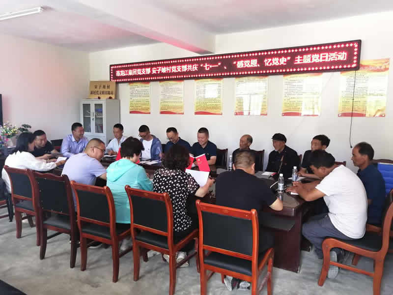 “感黨恩、憶黨史”，--市龍江城鄉(xiāng)發(fā)展集團(tuán)公司開展慶祝建黨99周年主題黨日活動(dòng)