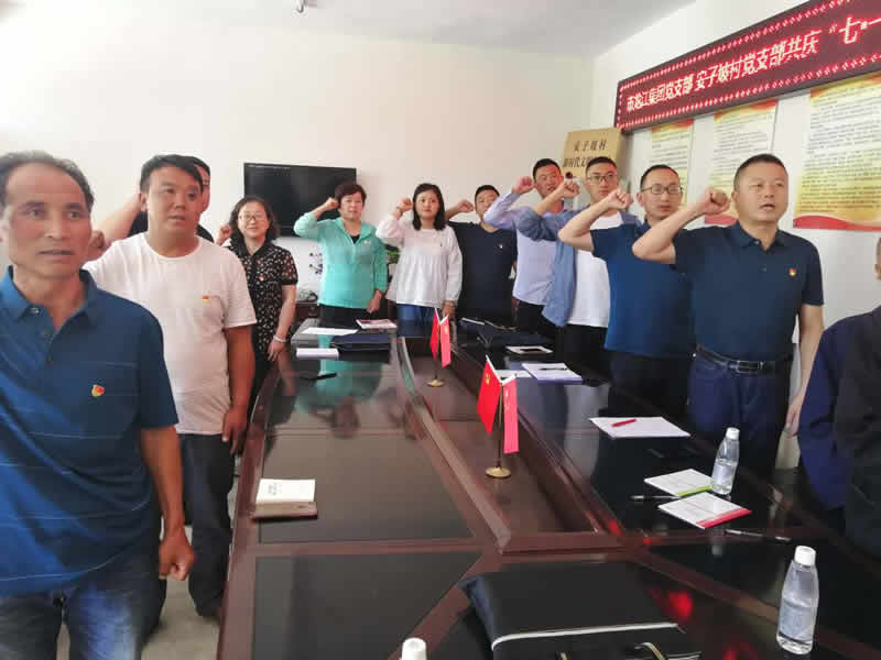 “感黨恩、憶黨史”，--市龍江城鄉(xiāng)發(fā)展集團(tuán)公司開展慶祝建黨99周年主題黨日活動(dòng)