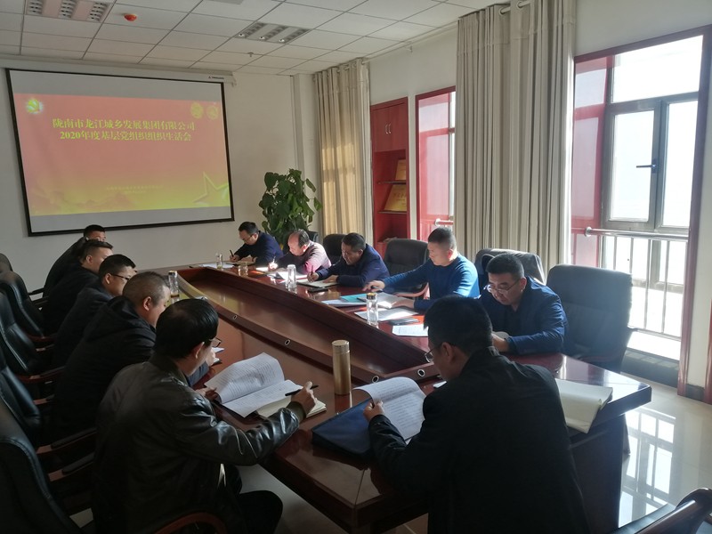 市龍江集團(tuán)公司召開(kāi)2020年度黨員領(lǐng)導(dǎo)干部民主生活會(huì)